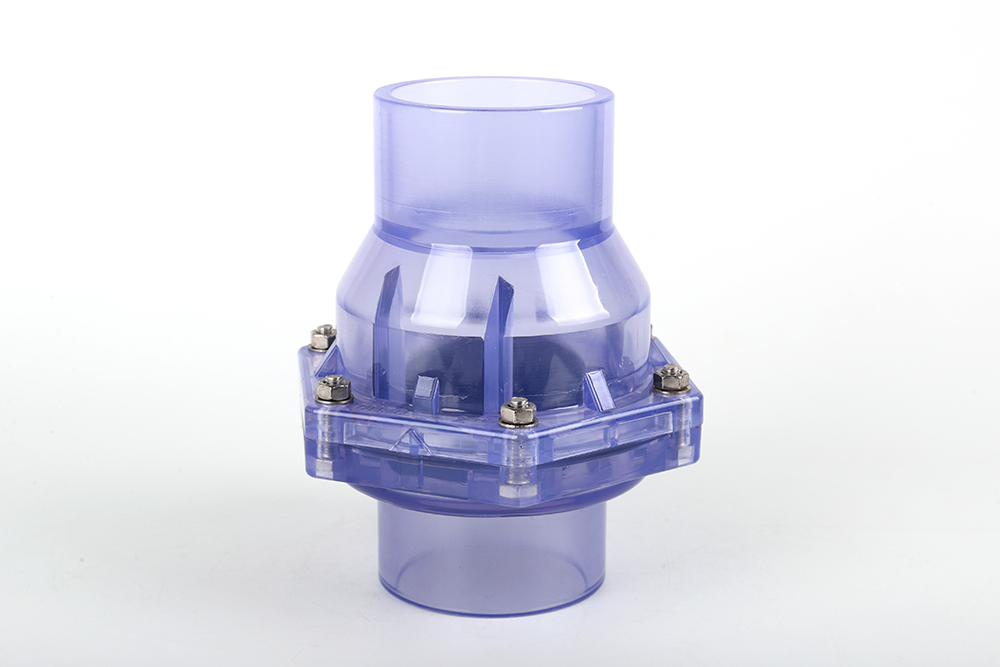 海兴透明翻板式止回阀